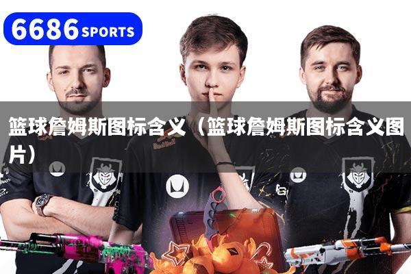 篮球詹姆斯图标含义（篮球詹姆斯图标含义图片）